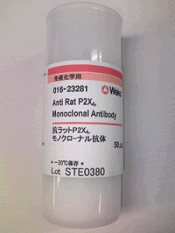 Anticorpo monoclonal Anti-P2X4