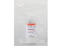 050 08121 pEB Multi