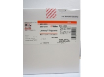 Triglicéridos LabAssay – Kit de reactivos 