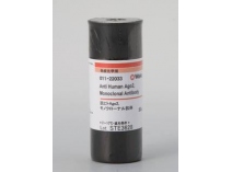 Anticuerpo Monoclonal Anti AGO2 humana