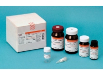 DNAExtractorSPKit1