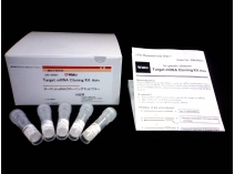 Target mRNA Cloning Kit Wako