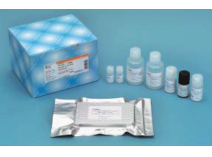elisa kit