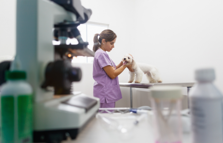 5 consejos sobre la anestesia en los animales de laboratorio