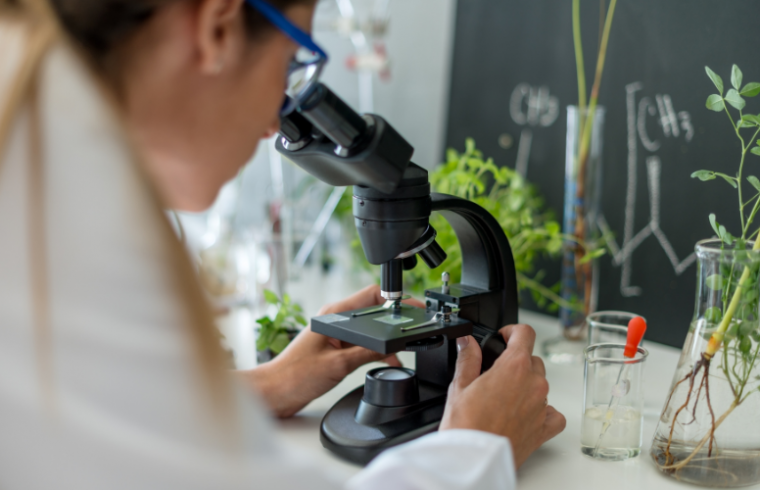 ¿Qué son los OGM y como se detectan?