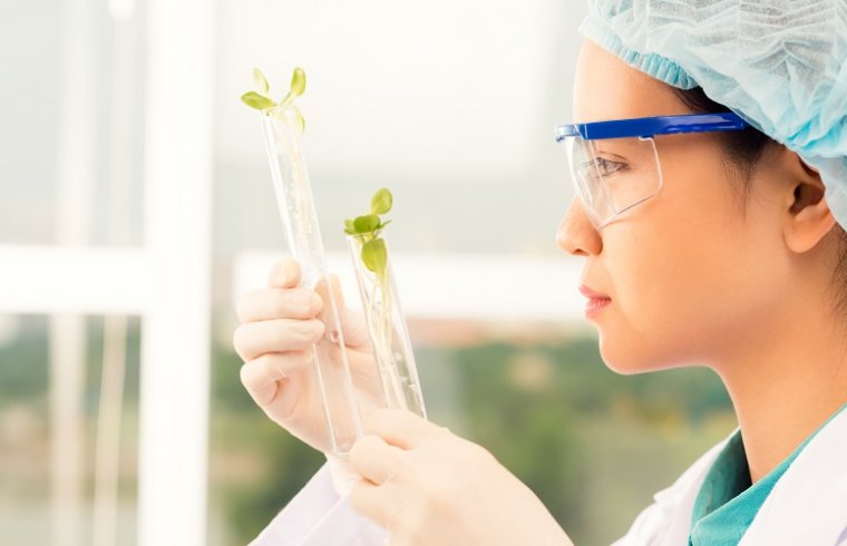 Productos vegetales en investigaciones biomédicas: los flavonoides