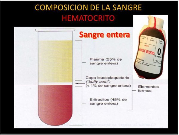 Composición de la sangre Hematocrito