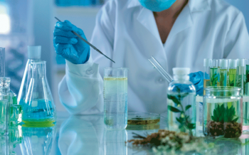 Investigación traslacional en plantas