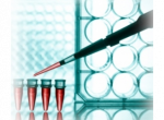 Enzimas y reactivos de PCR