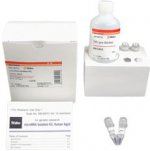 Kit para aislamiento de micro ARN, Ratón Ago2