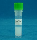 Phos-tag™ Agarosa – Purificación de proteínas mediante cromatografía de afinidad